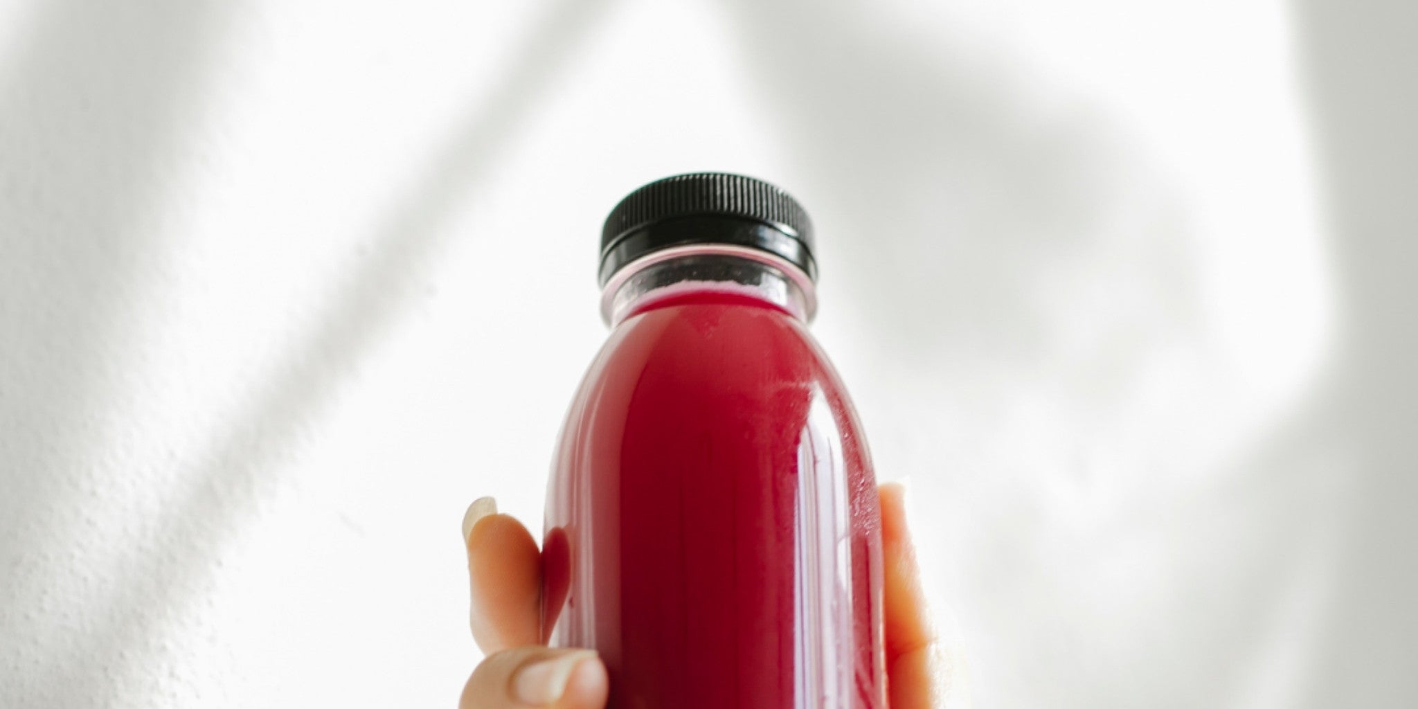 Stoffwechsel & Energie